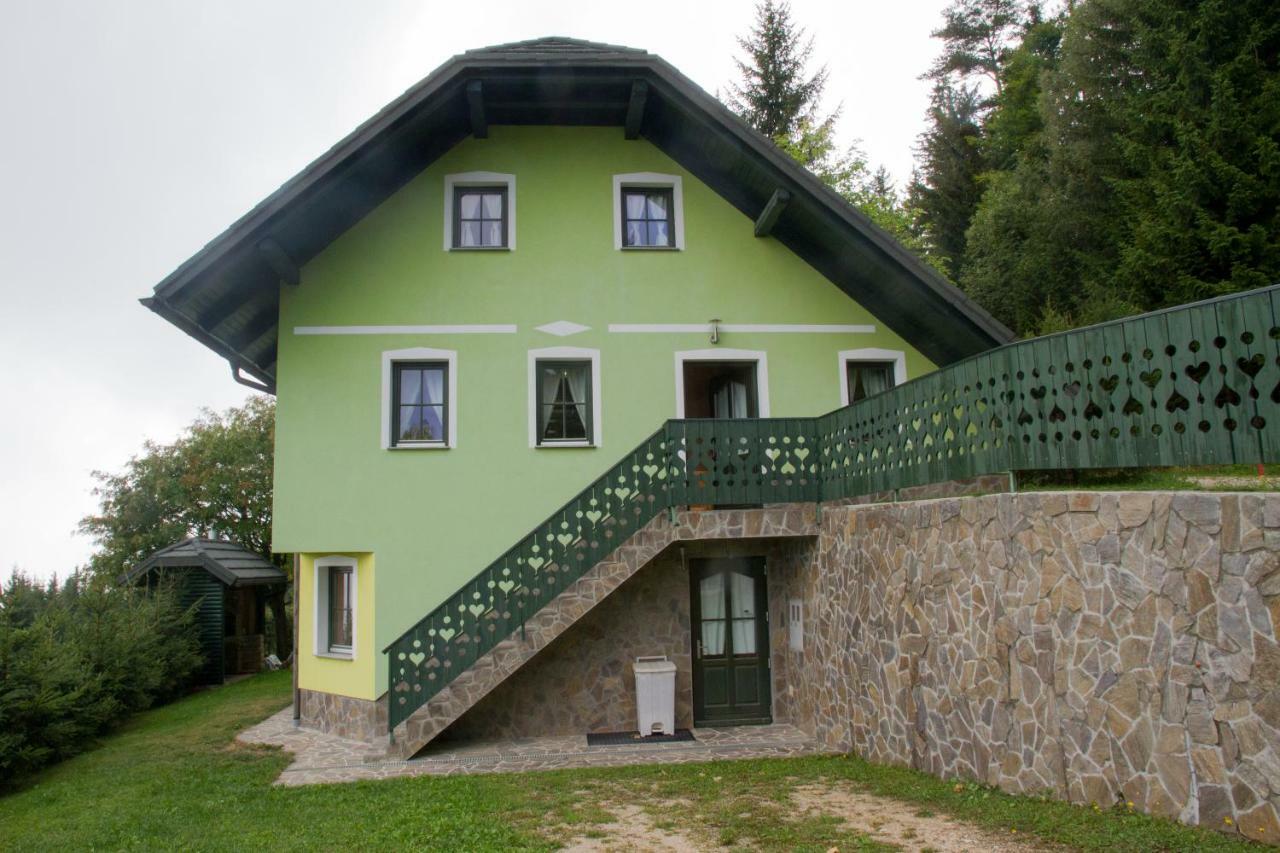 Apartment Sara Vitanje Esterno foto